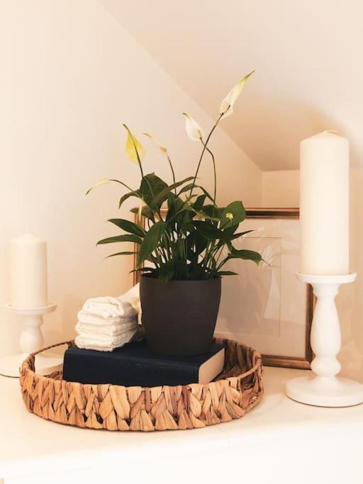 The Sycamore Retreat - Hampstead London Bagian luar foto